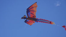 Load and play video in Gallery viewer, Dragon Kite Factory Production Video
