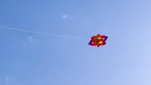 Load and play video in Gallery viewer, New 42 Inch Beautiful 3D Lotus Flower Kite
