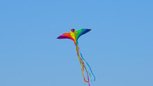 Load and play video in Gallery viewer, Easy to Fly 46-Inch Phoenix Kite
