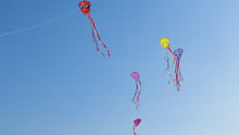 Load and play video in Gallery viewer, 2026 New 3 Pack Octopus Kite
