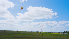 Load and play video in Gallery viewer, Bird Scarer Flying Kite Without Pole Yellow
