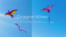 Load and play video in Gallery viewer, New Pterosaur Kite Easy to Fly
