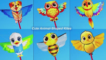 Load and play video in Gallery viewer, 3D Frog Kite Factory Video
