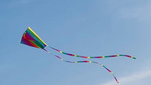 Load and play video in Gallery viewer, Rainbow Parafoil Kite with Long Tail
