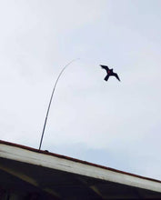 Load image into Gallery viewer, bird scarer hawk kite with 4m telescopic pole and stake
