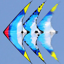 Load image into Gallery viewer, 48inch dual line stunt kite-feiyu
