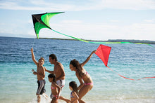 Load image into Gallery viewer, triangle kite-grassland

