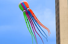Load image into Gallery viewer, 8m huge large Octopus kite
