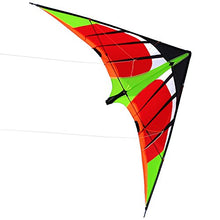 Load image into Gallery viewer, dual line stunt kite-swifts
