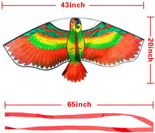 Load image into Gallery viewer, Outdoor Sport Parrot Kites for kids
