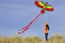 Load image into Gallery viewer, Outdoor Sport Parrot Kites for kids
