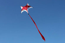 Load image into Gallery viewer, easy to fly fox animal kites
