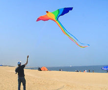 Load image into Gallery viewer, hot sale Phoenix Kites 74-Inch
