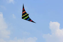 Load image into Gallery viewer, dual line stunt kite-Aurora
