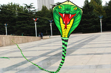 Load image into Gallery viewer, huge easy to fly 8m snake kite

