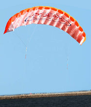 Load image into Gallery viewer, Dual line power kite-bird
