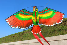 Load image into Gallery viewer, Outdoor Sport Parrot Kites for kids
