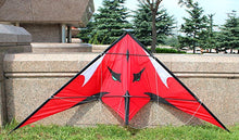 Load image into Gallery viewer, dual line stunt kite-Sea monster
