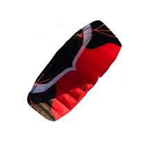 Load image into Gallery viewer, Dual line power kite-Rhythm
