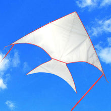 Load image into Gallery viewer, Fish DIY Drawing Kite For Kids
