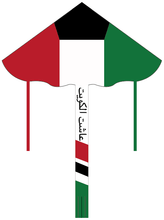 Load image into Gallery viewer, customize delta flag kite with long tails

