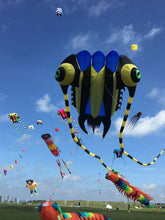 Load image into Gallery viewer, large 32sqm nylon trilobite show kite
