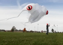 Load image into Gallery viewer, new 2sqm white nylon trilobite kite

