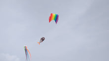 Load image into Gallery viewer, large rainbow polit kite
