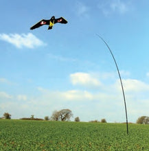 Load image into Gallery viewer, bird scarer hawk kite with 4m telescopic pole and stake
