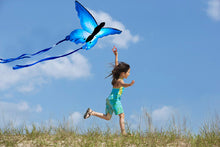 Load image into Gallery viewer, Easy To Fly Blue Butterfly Kite
