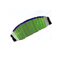 Load image into Gallery viewer, Dual line power kite-Ziyun
