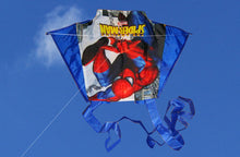 Load image into Gallery viewer, customize logo pocket kite
