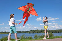 Load image into Gallery viewer, classic red goldfish kite
