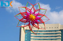 Load image into Gallery viewer, HengDa 3D lotus kite
