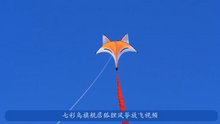 Load image into Gallery viewer, easy to fly fox animal kites
