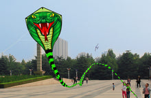 Load image into Gallery viewer, huge easy to fly 8m snake kite
