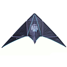 Load image into Gallery viewer, customize logo stunt kite
